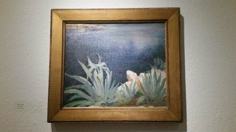 Pročitajte više o članku Cvijet smrti – Cvjetanje agava na Kvarneru